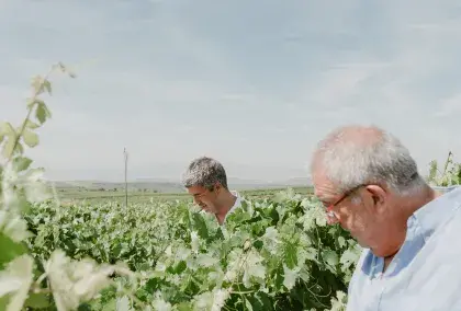 Vinos que hacen historia