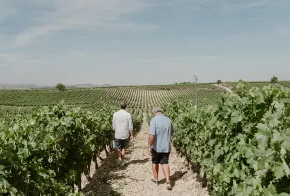 Vinos que hacen historia