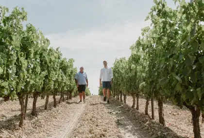 Vinos que hacen historia